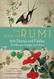 Book of Rumi: 105 Stories and Fables that Illumine Delight