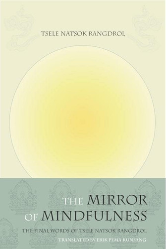 Mirror of Mindfulness