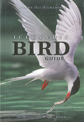 Icelandic Bird Guide: Appearance Way of Life Habitat