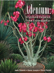 Adenium - Sculptural Elegance Floral Extravagance