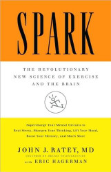 Spark 1st (first) edition Text Only