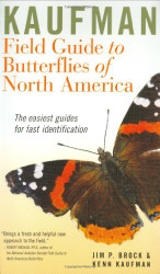 Butterflies of North America (Kaufman Field Guides)