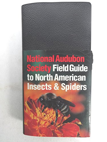 National Audubon Society Field Guide to North American Insects