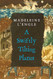 Swiftly Tilting Planet