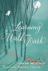 Learning to Walk in the Dark by Taylor Barbara Brown