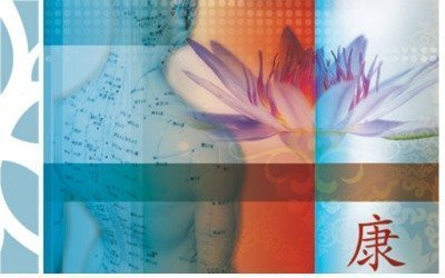 Acupuncture Desk Reference Volume 1 by David J. Kuoch