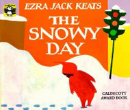 Snowy Day Picture Book