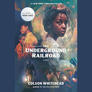 Underground Railroad (Television Tie-in): A Novel