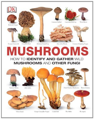 Mushrooms by Thomas Laessoe (2013-11-06)