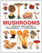 Mushrooms by Thomas Laessoe (2013-11-06)
