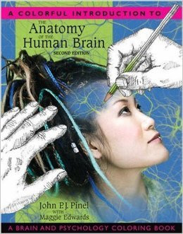 Colorful Introduction to the Anatomy of the Human Brain