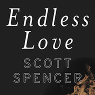 Endless Love: A Novel