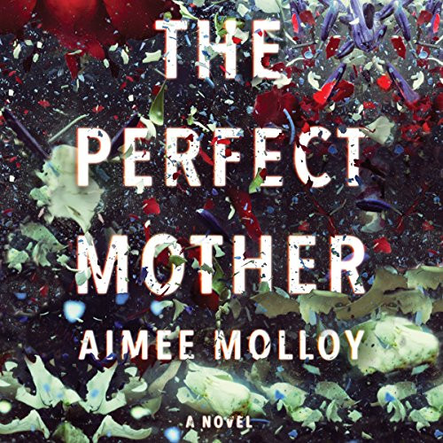 Perfect Mother: A Novel