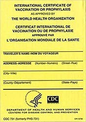 INTERNATIONAL CERTIFICATE OF VACCINATION - PACK of 2 includes 2 vinyl