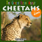 Great Book About Cheetahs for Kids