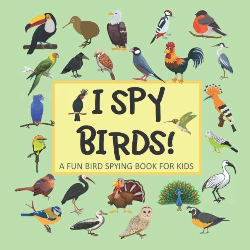I SPY BIRDS! A FUN BIRDS SPYING BOOK FOR KIDS