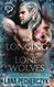 Longing of Lone Wolves: A Fae Wolf Shifter Fantasy Romance - Fae