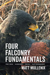 Four Falconry Fundamentals