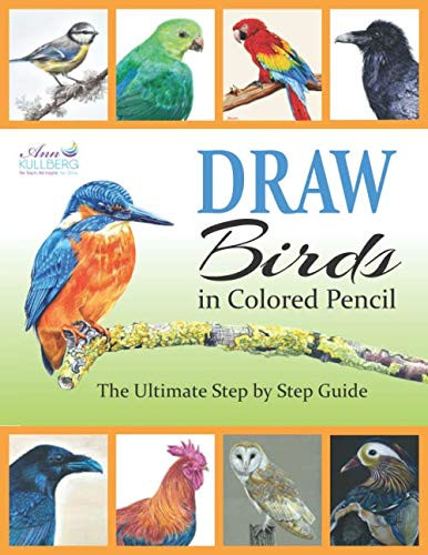 DRAW Birds in Colored Pencil: The Ultimate Step by Step Guide