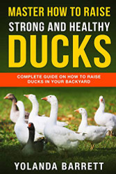 Master How To Raise Strong And Healthy Ducks