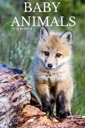 BABY ANIMALS PICTURE BOOK