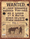 Classic Western TV & Movie Word Search Volume 1 70 Large Print