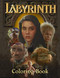 Labyrinth Coloring Book