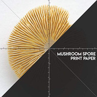 Mushroom Spore Print Paper