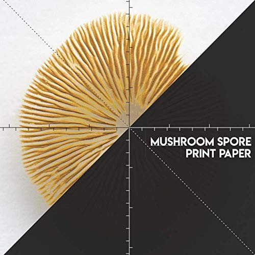 Mushroom Spore Print Paper