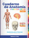 Cuaderno de Anatomia para Colorear