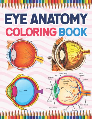 Eye Anatomy Coloring Book
