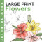 Flowers Large Print Coloring Book