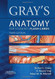 Gray's Anatomy for Students Flash Cards