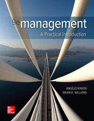 Management A Practical Introduction