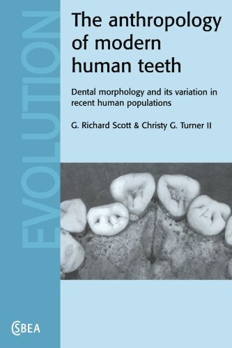 Anthropology of Modern Human Teeth