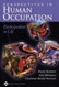 Perspectives In Human Occupation