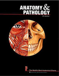 Anatomy and Pathology