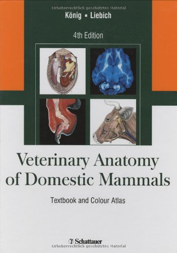 Veterinary Anatomy of Domestic Mammals