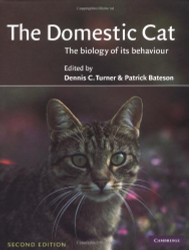 Domestic Cat