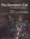 Domestic Cat Domestic Cat
