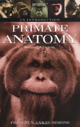 Primate Anatomy