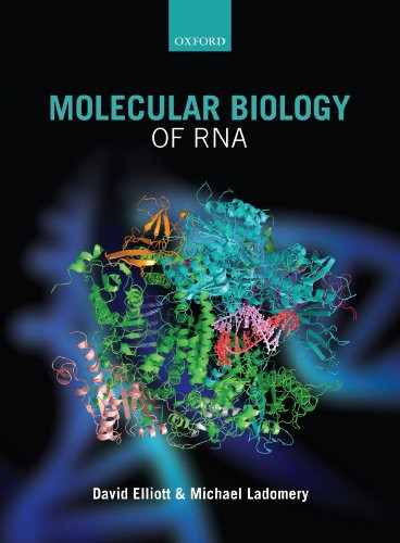Molecular Biology of Rna