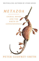 Metazoa