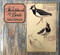 A Sketchbook of Birds