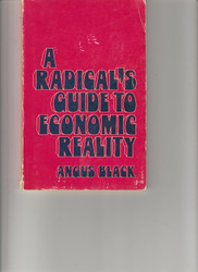 A radical's guide to economic reality