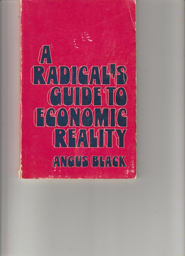 A radical's guide to economic reality