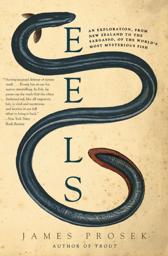 Eels: An Exploration from New Zealand to the Sargasso of the World's