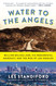 Water to the Angels: William Mulholland His Monumental Aqueduct and
