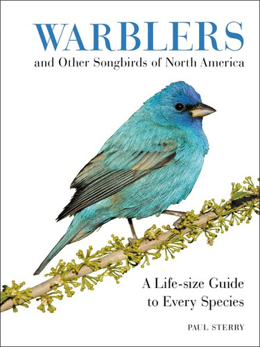 Warblers and Other Songbirds of North America: A Life-size Guide to