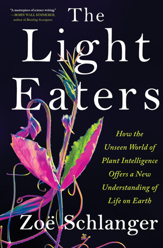 The Light Eaters: How the Unseen World of Plant Intelligence Offers a